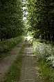 Allee du bois